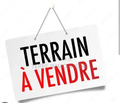 VENTE À BASSAM ROUTE YAOU BONOUA UN TRÈS BEAU TERRAIN