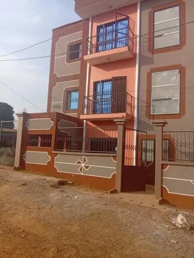 bel appartement neuf au carrefour Nkoabang
