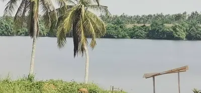 Terrain rare à Assinie 1, 5Ha avec ACD en bordure de lagune