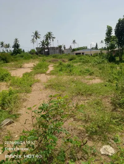 Mondoukou 2 hectares avec ACD en vente 