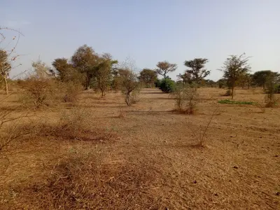 Terrain  Agricole de 1,47 hectare vers Notto
