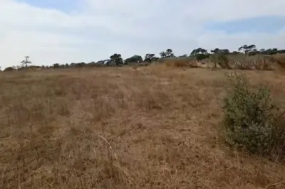 Terrain Agricole de 8.000 m² vers Tassette – Thiès