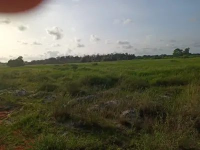 Terrain 1 hectare en vente avec ACD à ASSOUINDE 