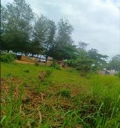 INVESTISSEZ À SAN-PEDRO : TERRAIN STRATÉGIQUE 