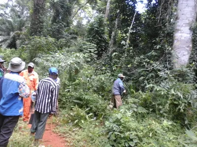 500 hectares de terrain agricole à  louer à Mengang au Cameroun