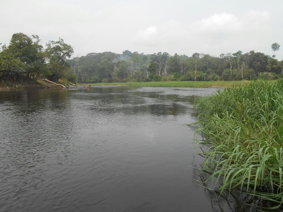 500 hectares de terrain agricole à  louer à Mengang au Cameroun