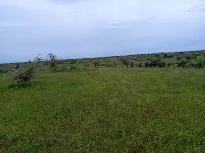 Verger avec forage fonctionnel de 4,05 hectares vers Diogo - Kab Gaye