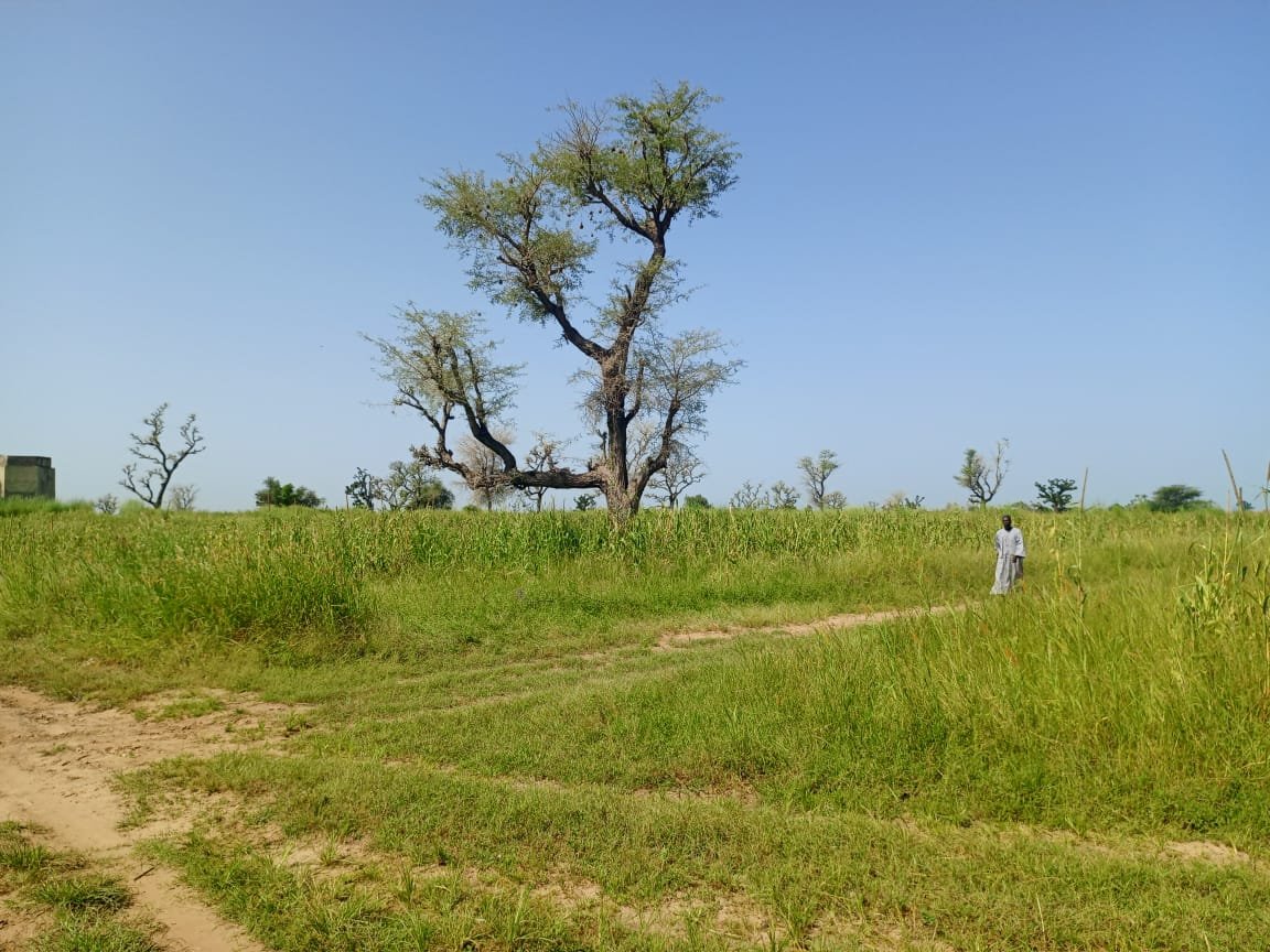 Terrain Agricole de 9830 m² vers Malicounda - Sindia