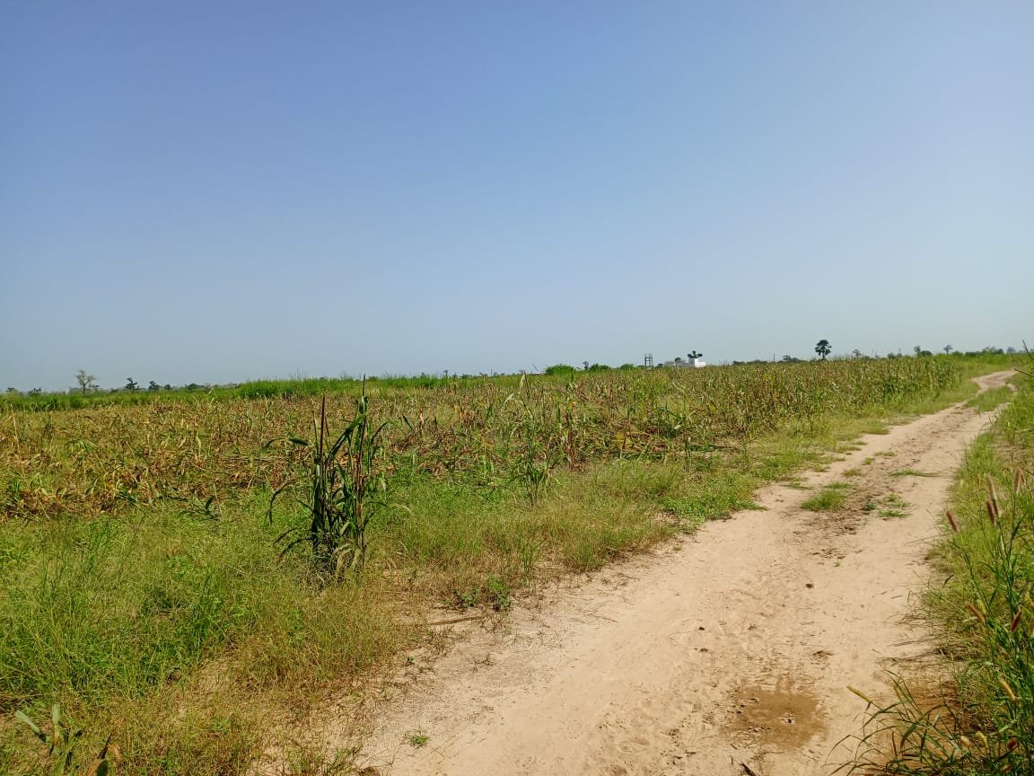 Terrain Agricole de 9830 m² vers Malicounda - Sindia