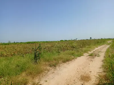 Terrain Agricole de 9830 m² vers Malicounda - Sindia