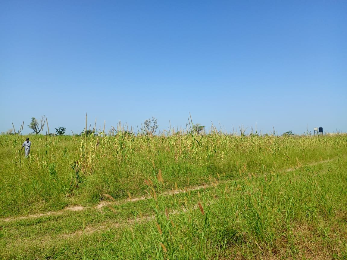 Terrain Agricole de 9830 m² vers Malicounda - Sindia