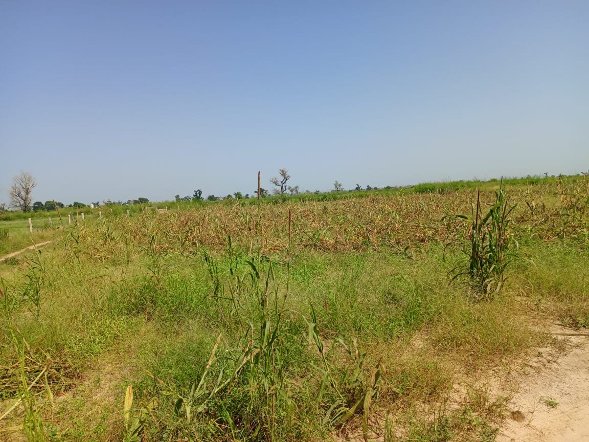 Terrain Agricole de 9830 m² vers Malicounda - Sindia