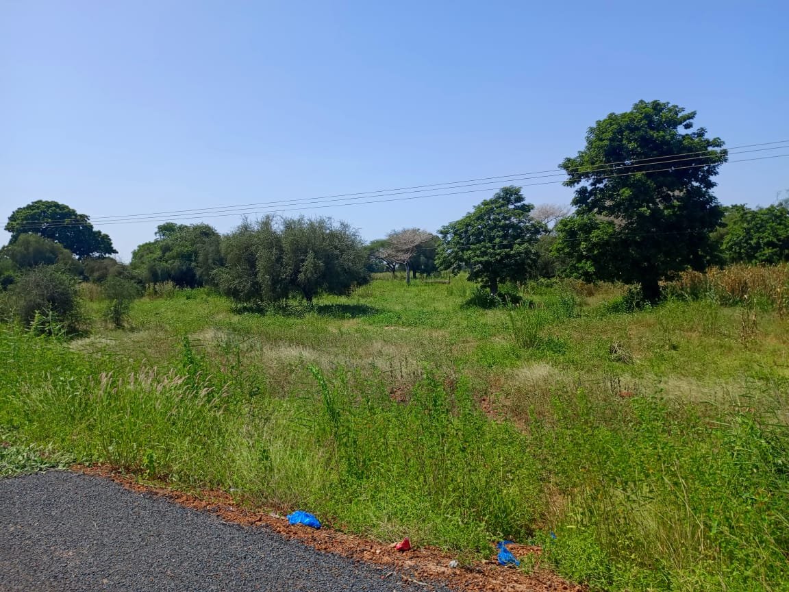 Terrain de 6188 m² en bordure de la route entre Keur Samba Kane - Baba Garage