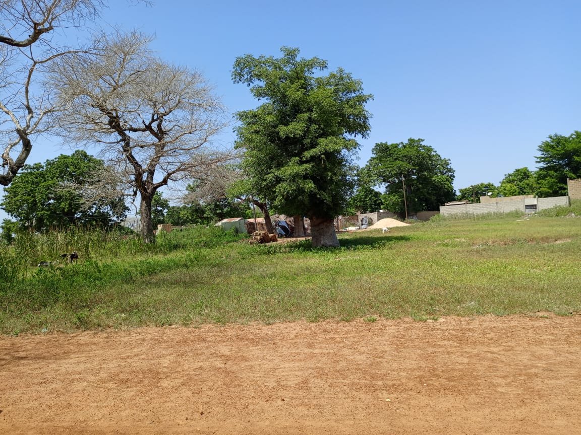 Terrain de 8.091 m² à 400 m de la route vers Keur Samba Kane - Baba Garage