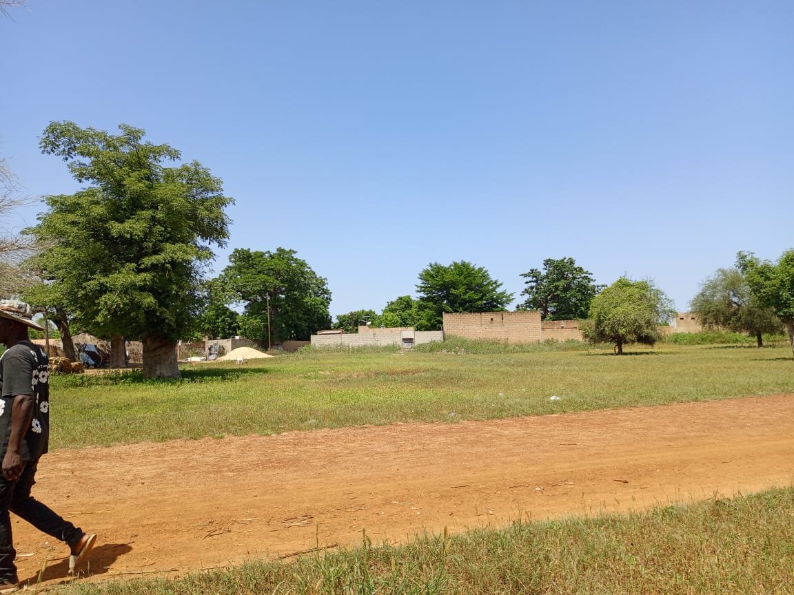Terrain de 8.091 m² à 400 m de la route vers Keur Samba Kane - Baba Garage
