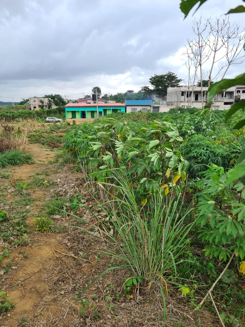 VENTE TERRAIN A SONGON GRAVIER