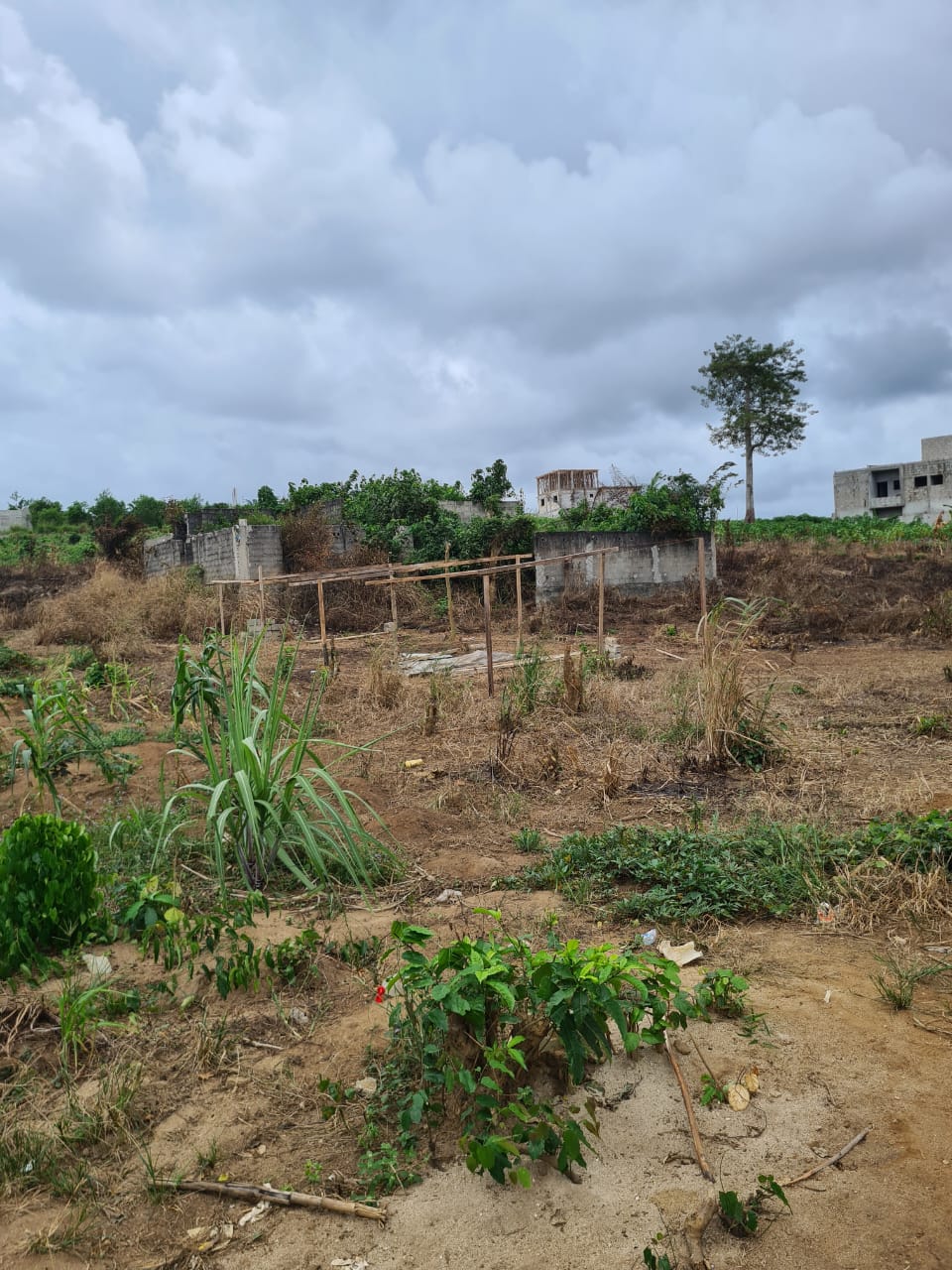 VENTE TERRAIN A SONGON GRAVIER