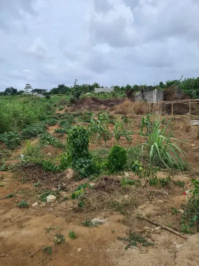 VENTE TERRAIN A SONGON GRAVIER