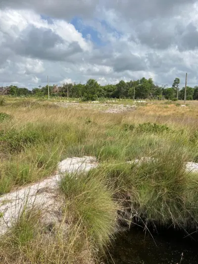 Vente de Terrains à ASSINIE – 600 m² avec ACD individuel disponible.