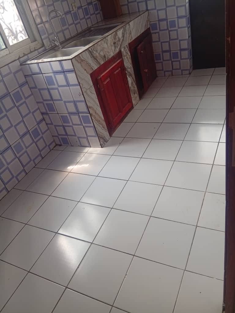 Appartement avec groupe électrogène, eau chaude, parking, forage, prépayé à Nkoabang 