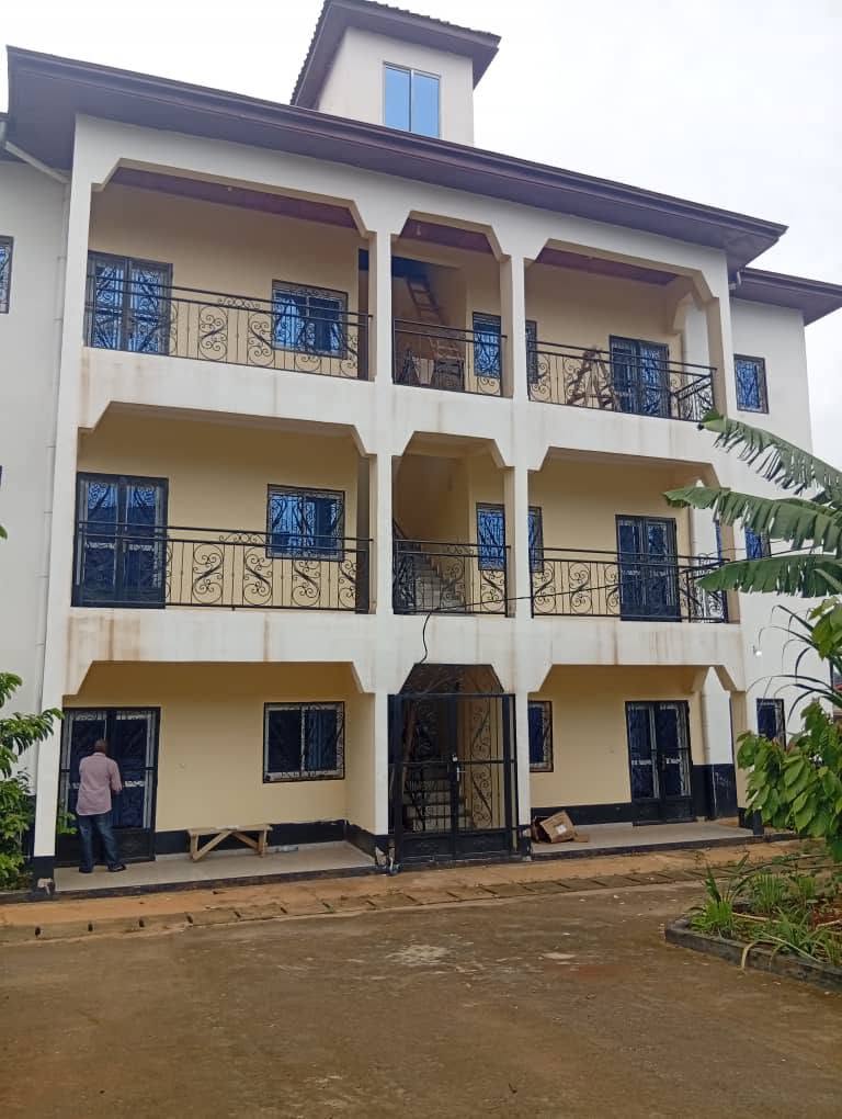 Appartement avec parking, forage, prépayé et eau gratuite à Nkoabang Yaoundé. 