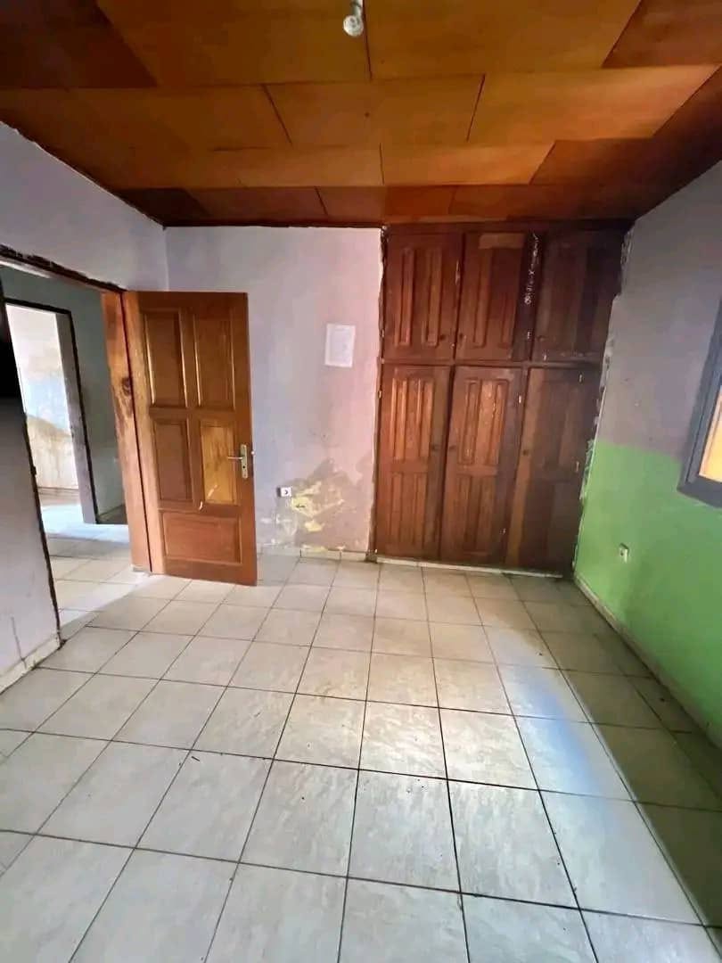 spacieux appartement à mendong 