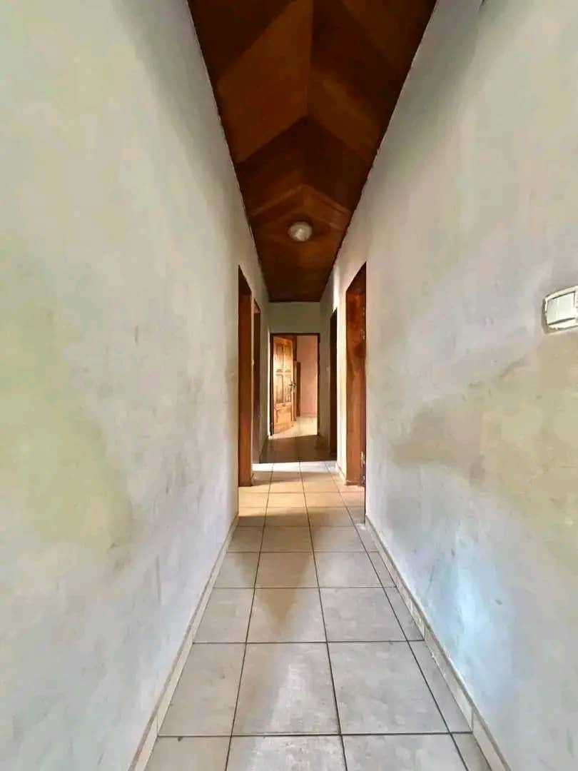 spacieux appartement à mendong 