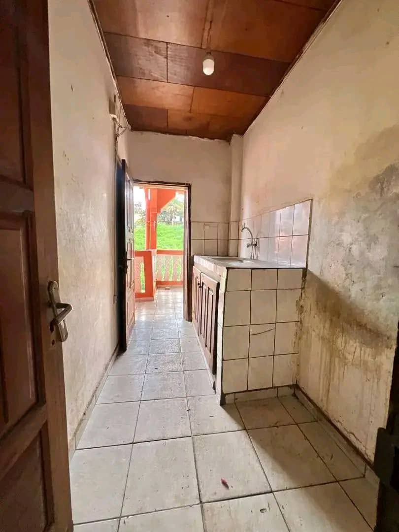 spacieux appartement à mendong 