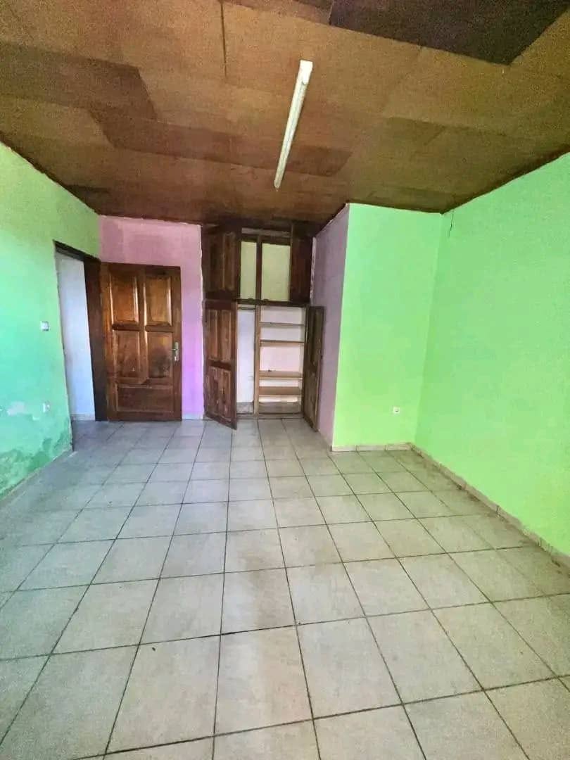 spacieux appartement à mendong 