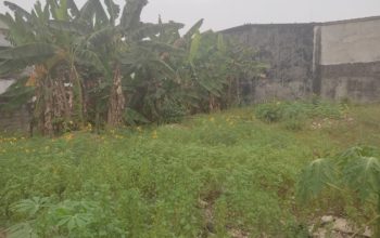 vente de terrain à sipo 17 km d’Abidjan