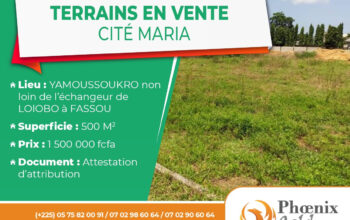 vente de terrains a Yamoussoukro – Fassou
