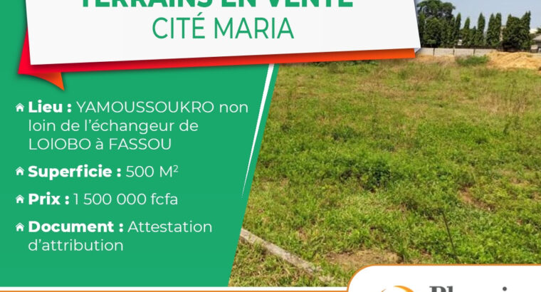 vente de terrains a Yamoussoukro – Fassou